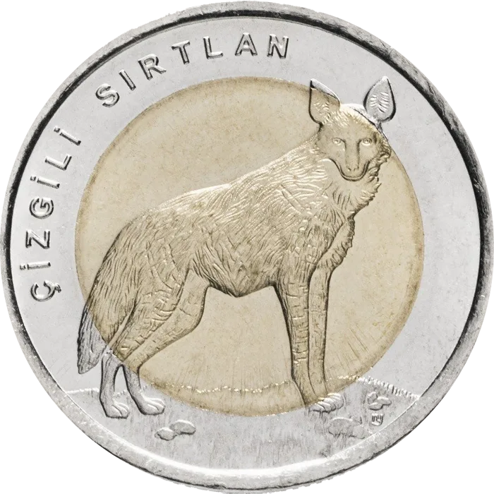 Çizgili Sırtlan